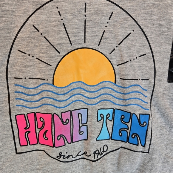 Hang Ten Teens Pull Over Cropped Long Sleeve T-Shirt Sz 14 Gray-Colorful Graphic - Picture 2 of 7